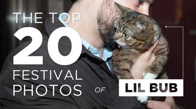 The 20 Best Photos of Lil Bub at TFF 2013 So Far