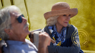 ​Don’t Bother Voting on the Oscars If You Haven’t Seen… Blythe Danner in I’LL SEE YOU IN MY DREAMS