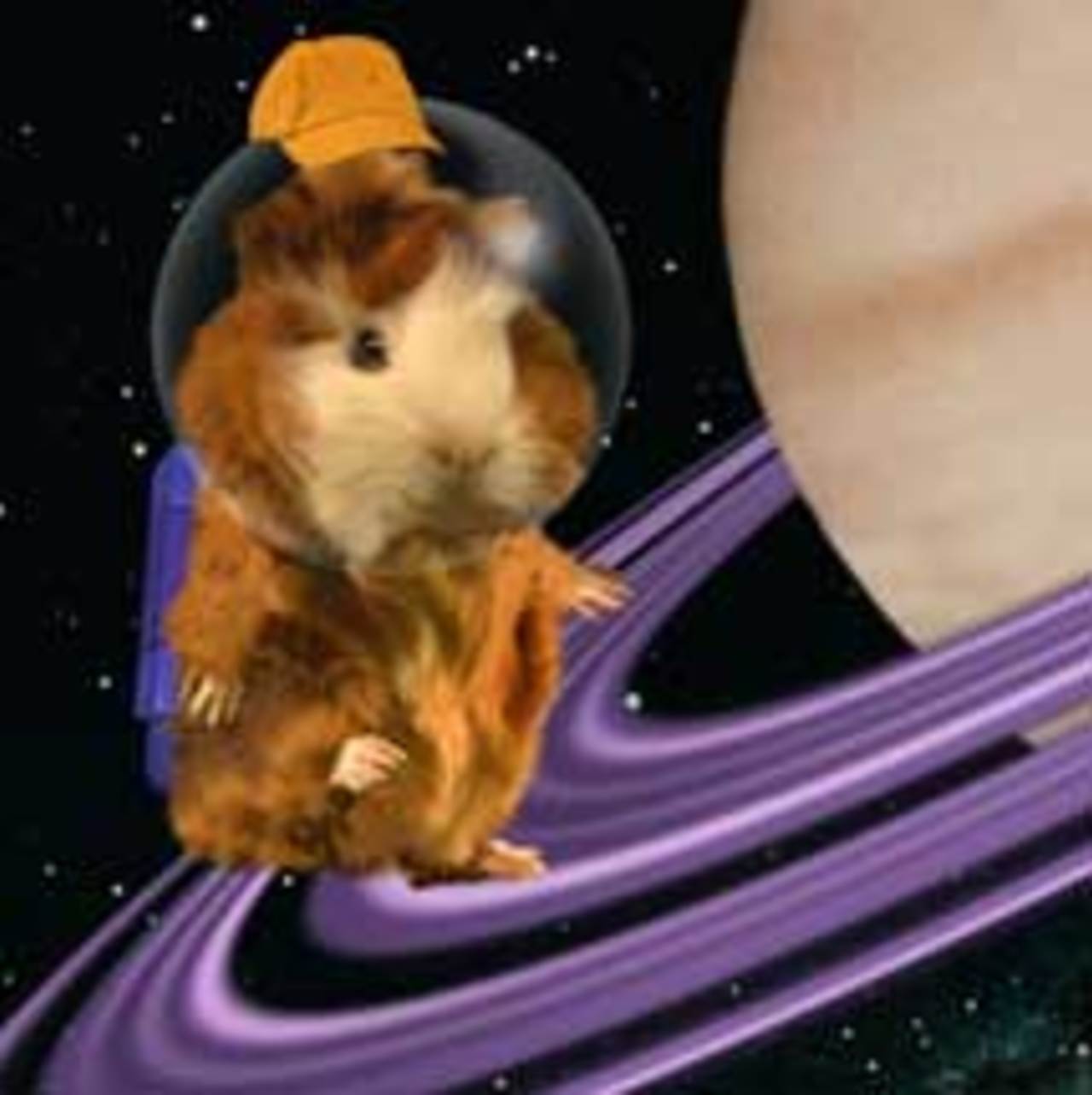 Linny the Guinea Pig "Space and Ocean"