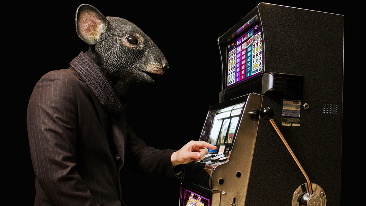 Lapse: Confessions of a Slot Machine Junkie