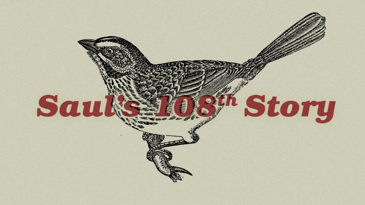 Saul's 108th Story