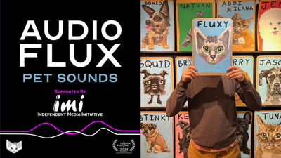 IMI and Audio Flux Present Pet Sounds